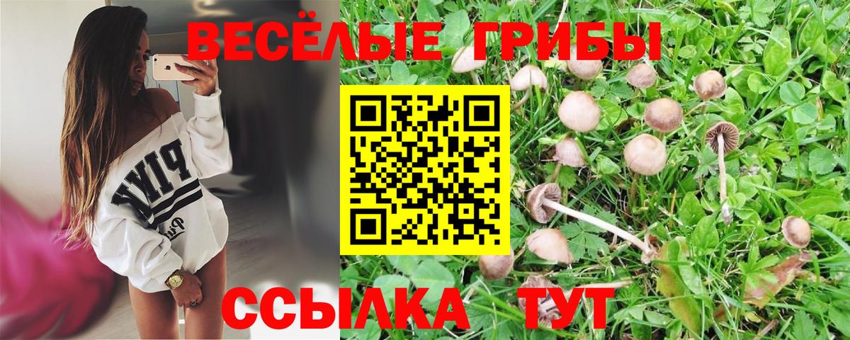 Галлюциногенные грибы MAGIC MUSHROOMS Видное
