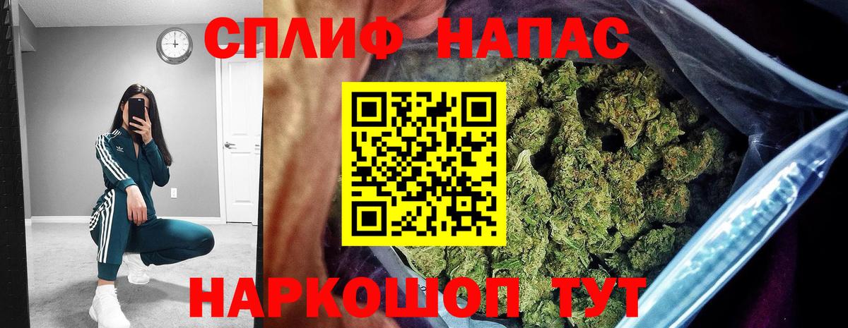 Канабис гибрид Видное